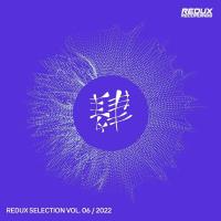 Redux Selection Vol 6 / 2022 MP3