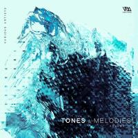 Tones & Melodies Vol 11 (2022) MP3