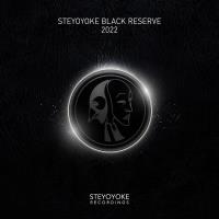 Steyoyoke Black Reserve 2022 MP3