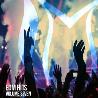 EDM Hits Vol 7 (2022) MP3