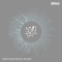 Redux Selection Vol 1 / 2023 (2022) MP3