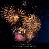 Serendipity Muzik End Of The Year Recap 2022 (2022) MP3