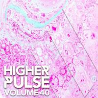 Higher Pulse, Vol. 40 (2023) MP3