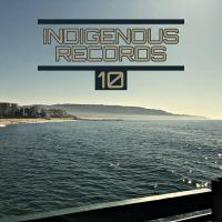 Indigenous Records 10 (2022) MP3