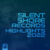 Silent Shore Records - Highlights 2022 (2023) MP3