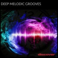 Deep Melodic Grooves (2023) MP3
