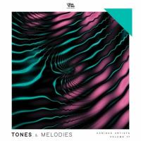 Tones & Melodies Vol 17 (2023) MP3