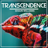 Shaun Williams - Transcendence (2023) MP3