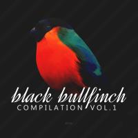 Black Bullfinch Compilation Vol 1 (2023) MP3