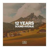 12 Years Sound Avenue (2023) MP3