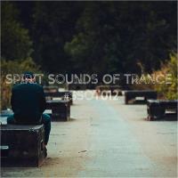 Spirit Sounds Of Trance #012 (Mixed by SounEmot) (2023) MP3