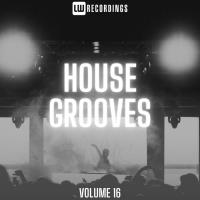 House Grooves, Vol. 16 (2023) MP3