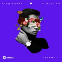 Afro House Evolution, Vol. 07 (2023) MP3