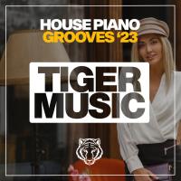 House Piano Grooves 2023 (2023) MP3