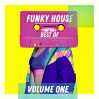 Best of Funky House - Volume One (2023) MP3