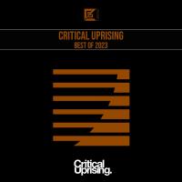 Critical Uprising Best Of 2023 (2024) MP3