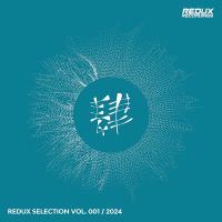 Redux Selection Vol 1 / 2024 (2024) MP3