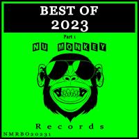 Best Of Nu Monkey Records 2023 Pt 1 (2023) MP3