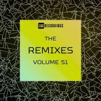 The Remixes Vol 51 (2024) MP3