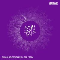 Redux Selection Vol 2 / 2024 (2024) MP3