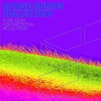 Goose Bumps Collection Vol 11 (2024) MP3