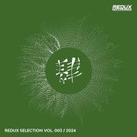 Redux Selection Vol 3 / 2024 MP3