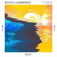Notes & Harmonies Vol 17 (2024) MP3