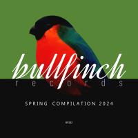 Bullfinch Spring 2024 Compilation (2024) MP3