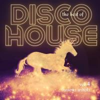 The Best Of Disco House Vol 4 (2024) MP3