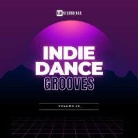 Indie Dance Grooves, Vol 20 (2024) MP3