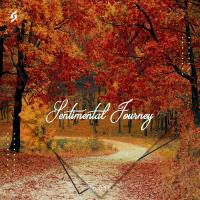 Sentimental Journey Ep.012 (2024) MP3