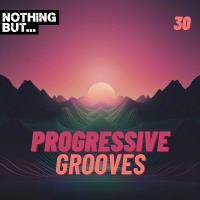 Nothing But... Progressive Grooves, Vol. 30 (2024) MP3