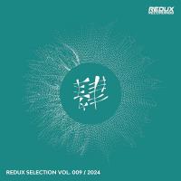 Redux Selection, Vol. 9 / 2024 (2024) MP3