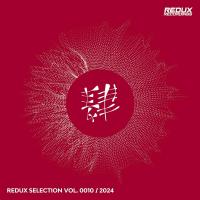 Redux Selection, Vol. 10 / 2024 (2024) MP3