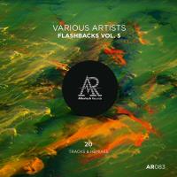 Flashbacks, Vol. 5 (2024) MP3