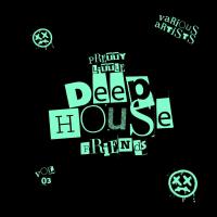 Pretty Little Deep-House Friends, Vol 3 (2024) MP3