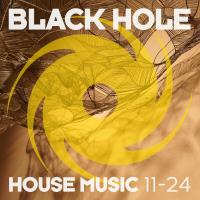 Black Hole House Music 11-24 (2024) MP3