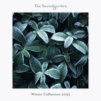 Winter Collection 2025 (2025) MP3